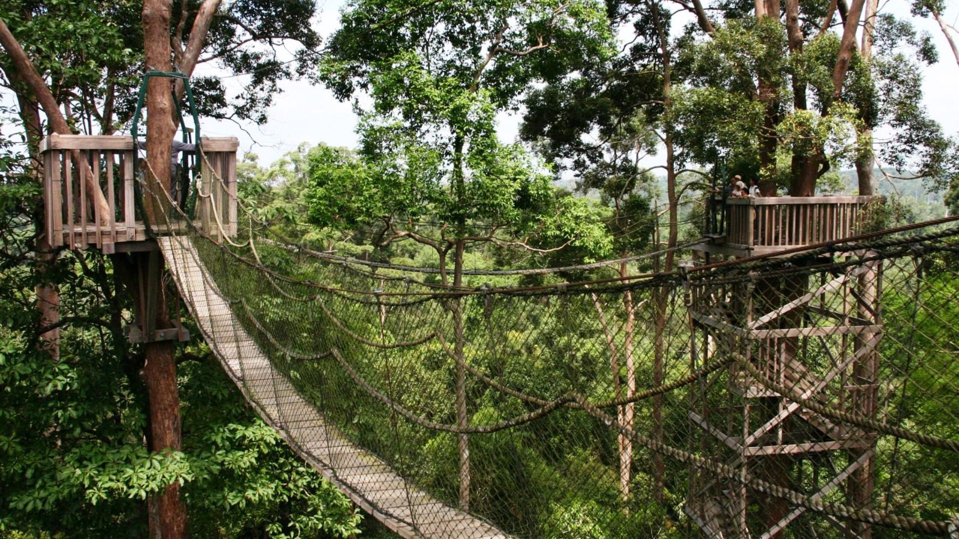 BANGKIRAI BANGKIRAI