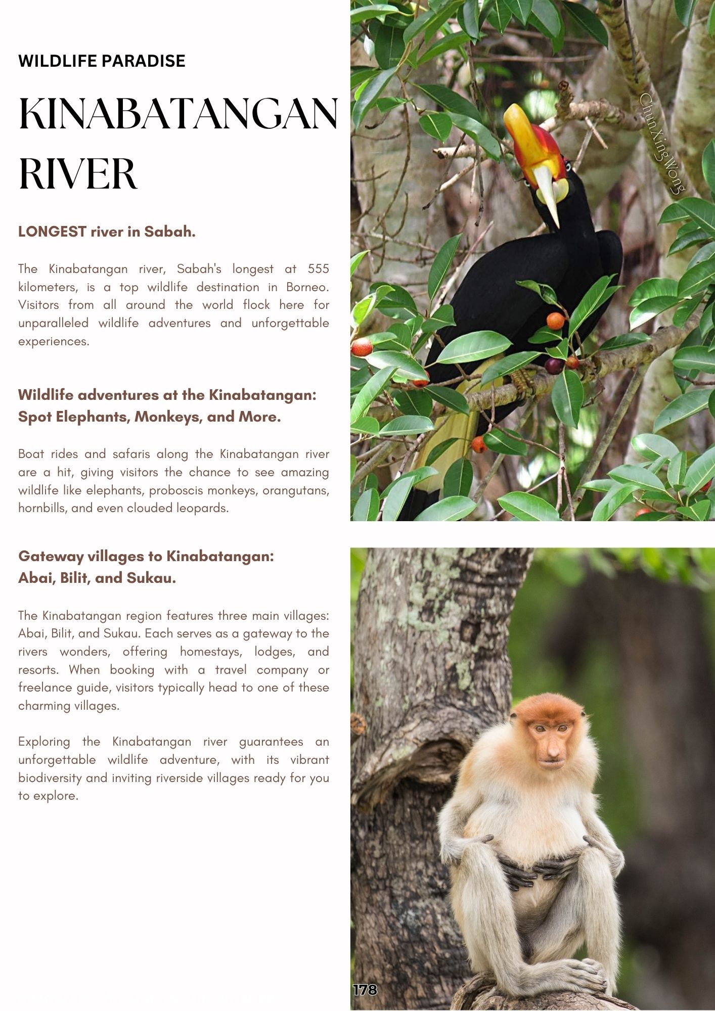 Kinabatangan