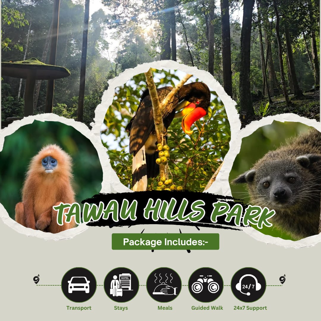 WhatsApp Image 2025-06-04 at 7.00.59 PM (1) Tawau Hills Park