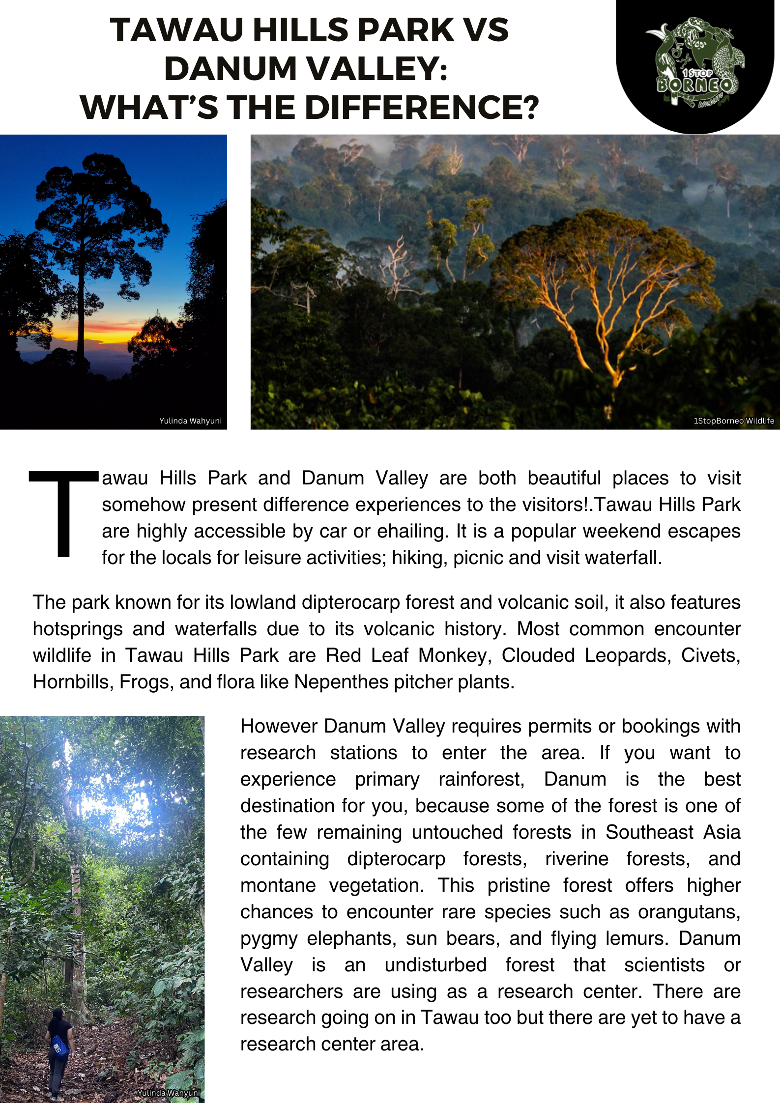 Copy of Tawau and Danum Valley